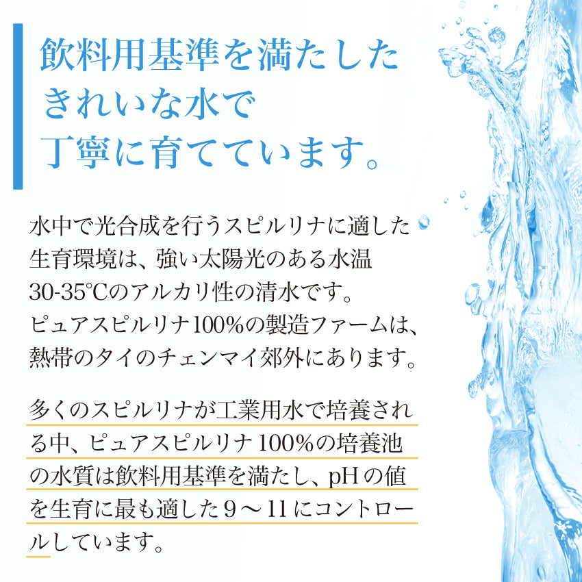 無添加スピルリナの品質管理