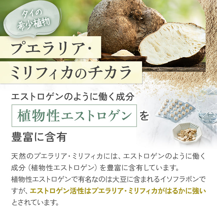 マチュレ モア100mg10粒(10日分)