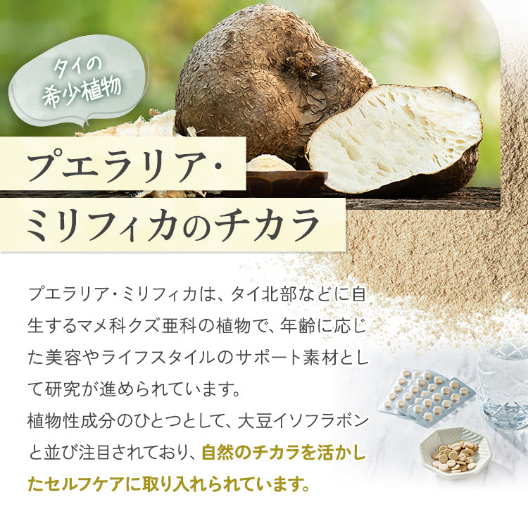詳細