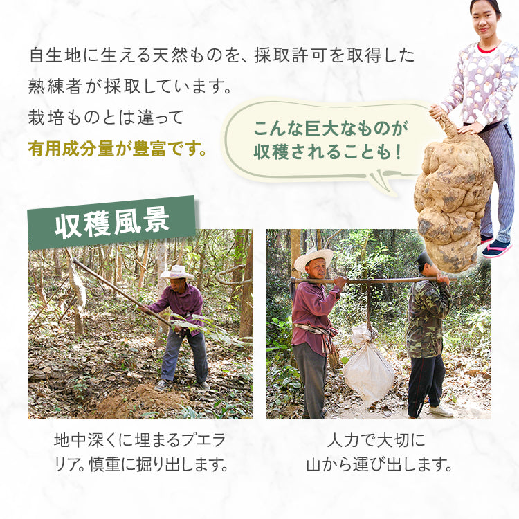 詳細